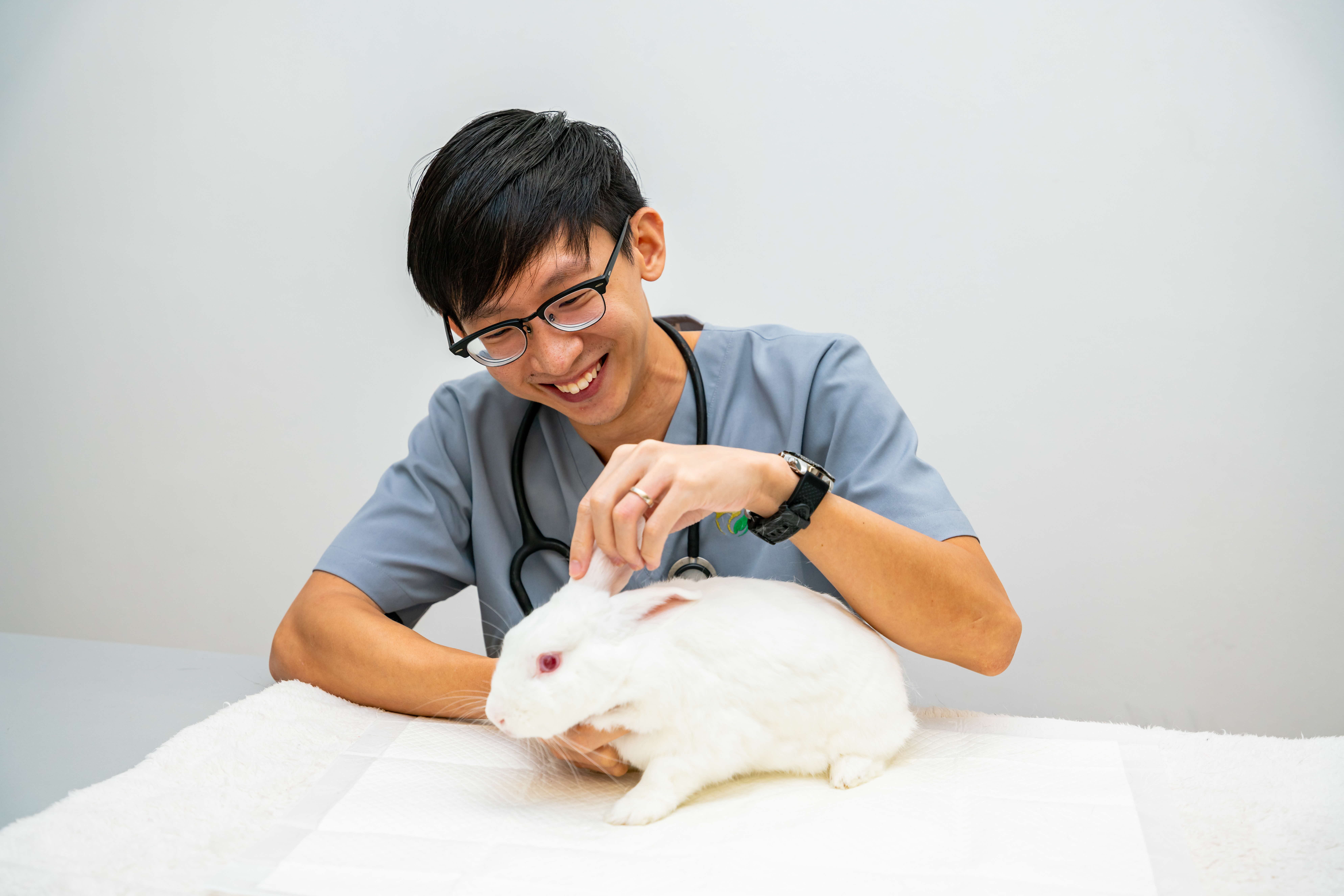 Vet inspecting a white rabbit's ear